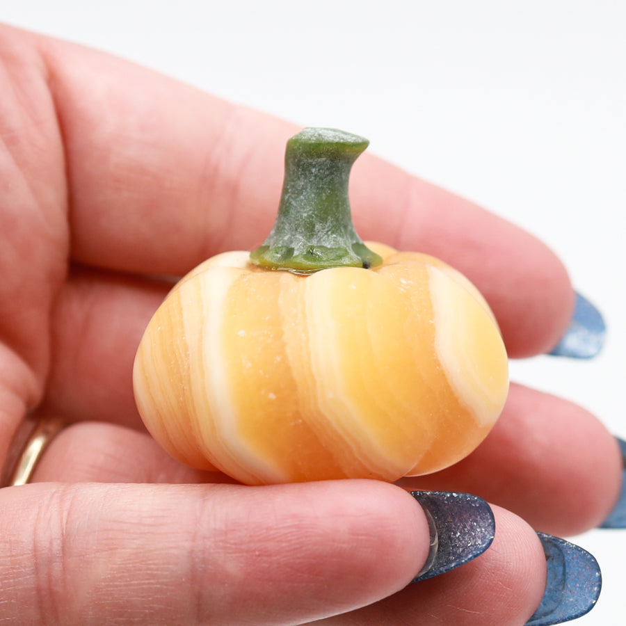 Pumpkin Carvings