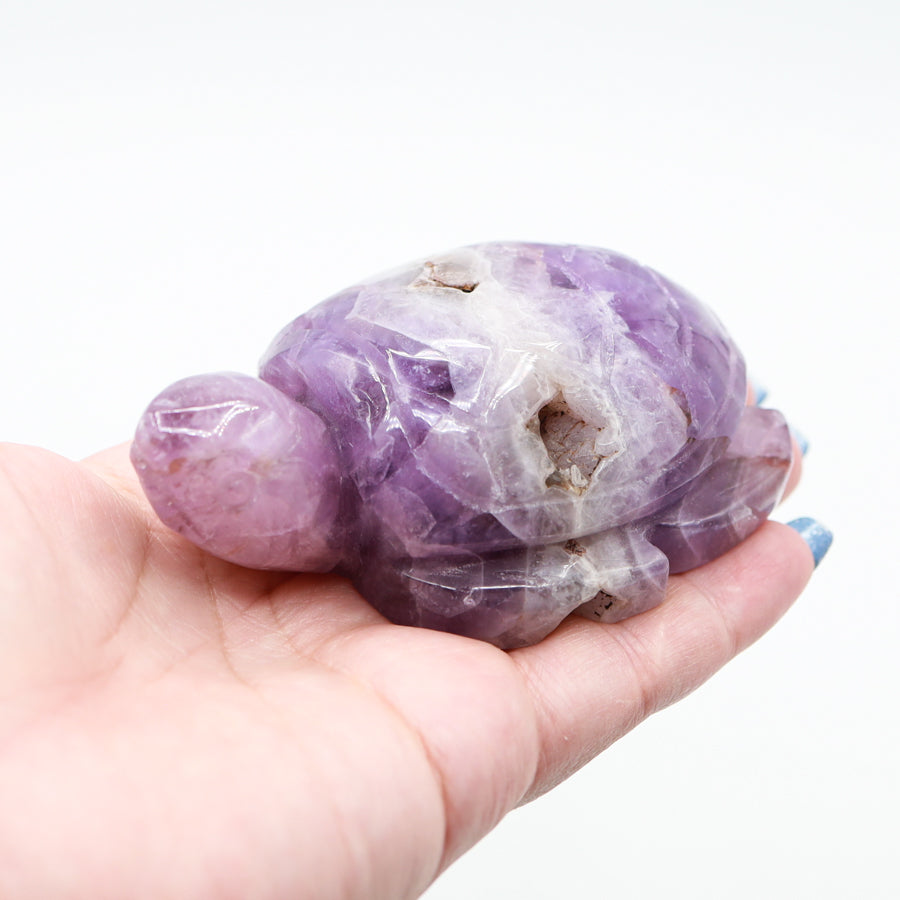 Amethyst Turtle
