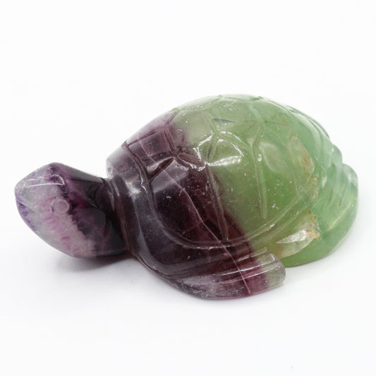 Fluorite Turtle (Large)