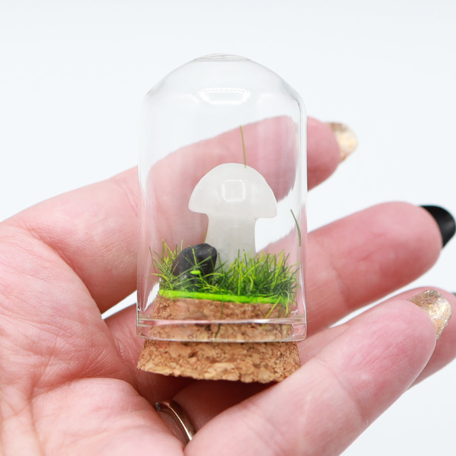 Bottled Mushroom Terrarium