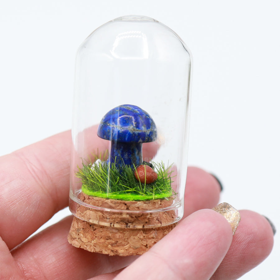 Bottled Mushroom Terrarium