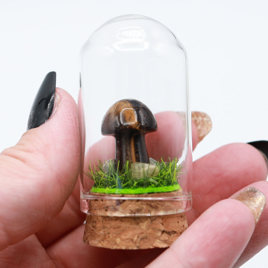 Bottled Mushroom Terrarium