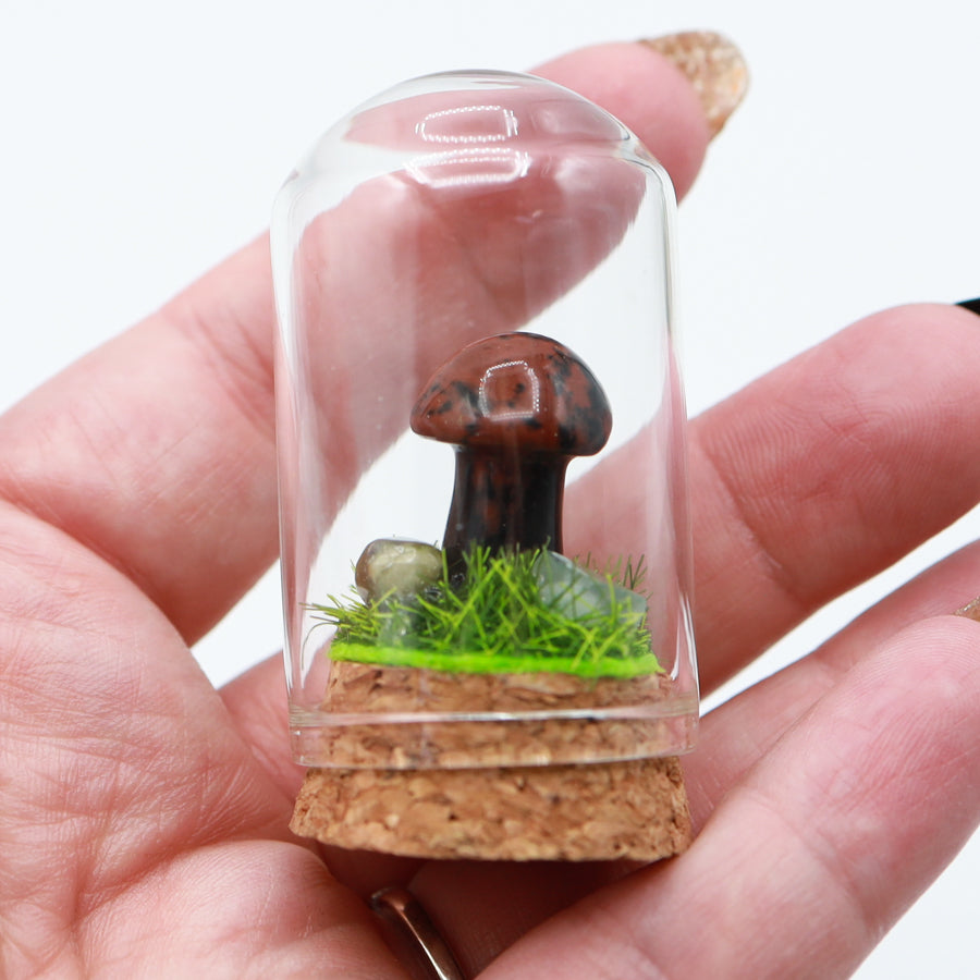 Bottled Mushroom Terrarium