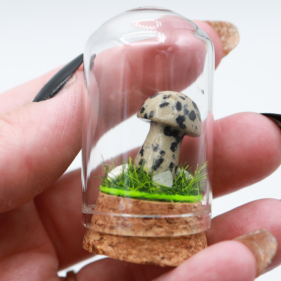 Bottled Mushroom Terrarium