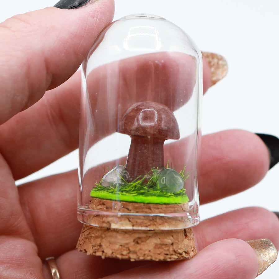 Bottled Mushroom Terrarium