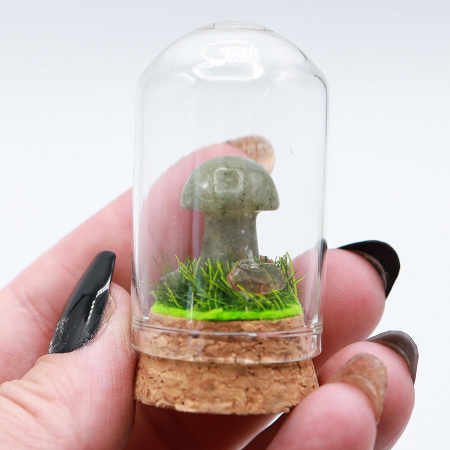 Bottled Mushroom Terrarium