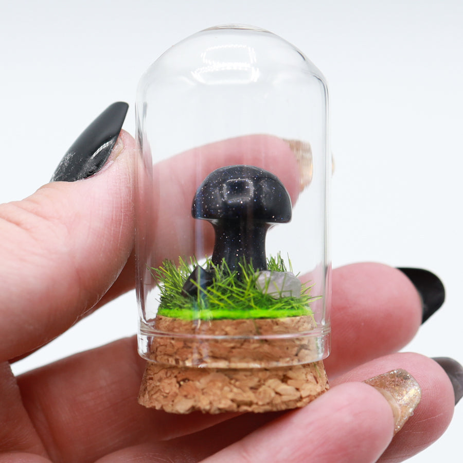 Bottled Mushroom Terrarium