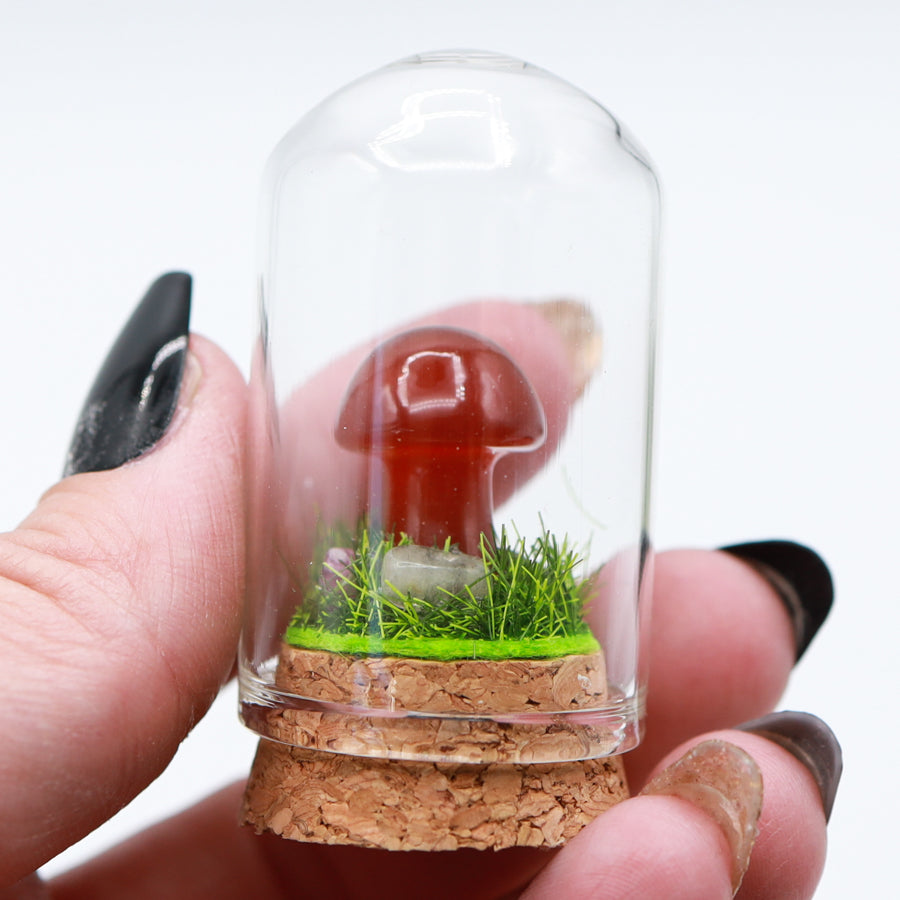 Bottled Mushroom Terrarium