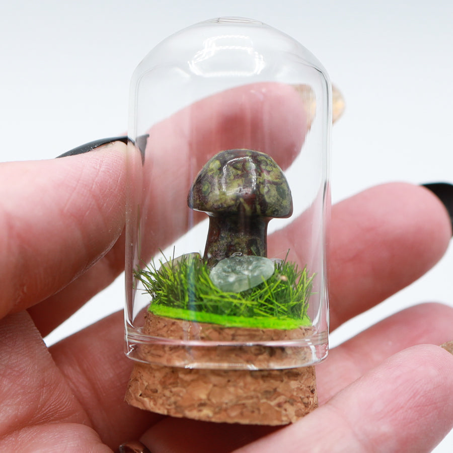 Bottled Mushroom Terrarium