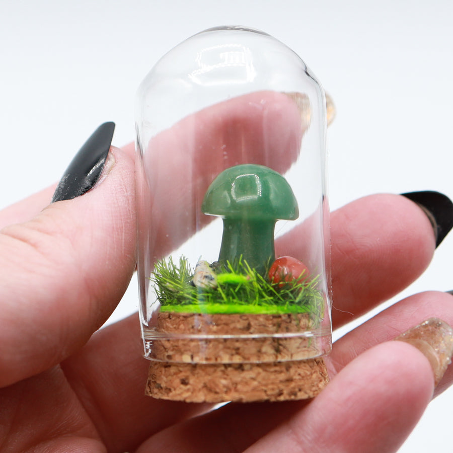 Bottled Mushroom Terrarium