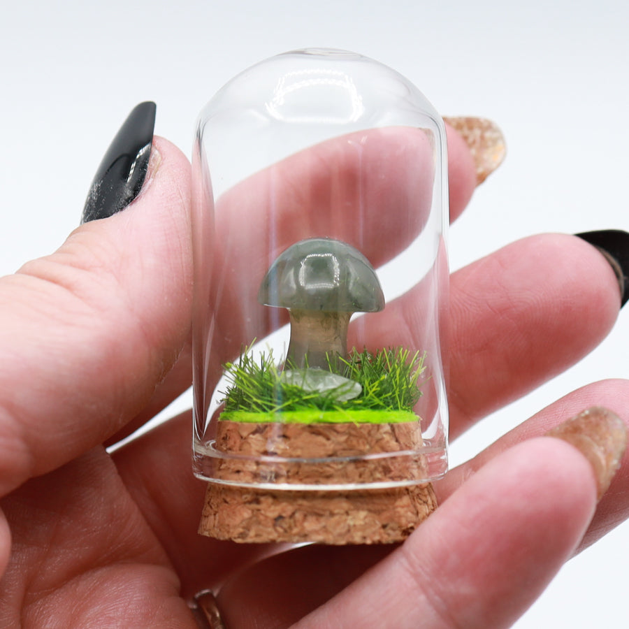 Bottled Mushroom Terrarium