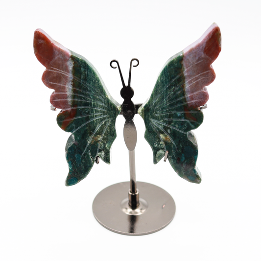 Ocean Jasper Butterfly Wings (A)