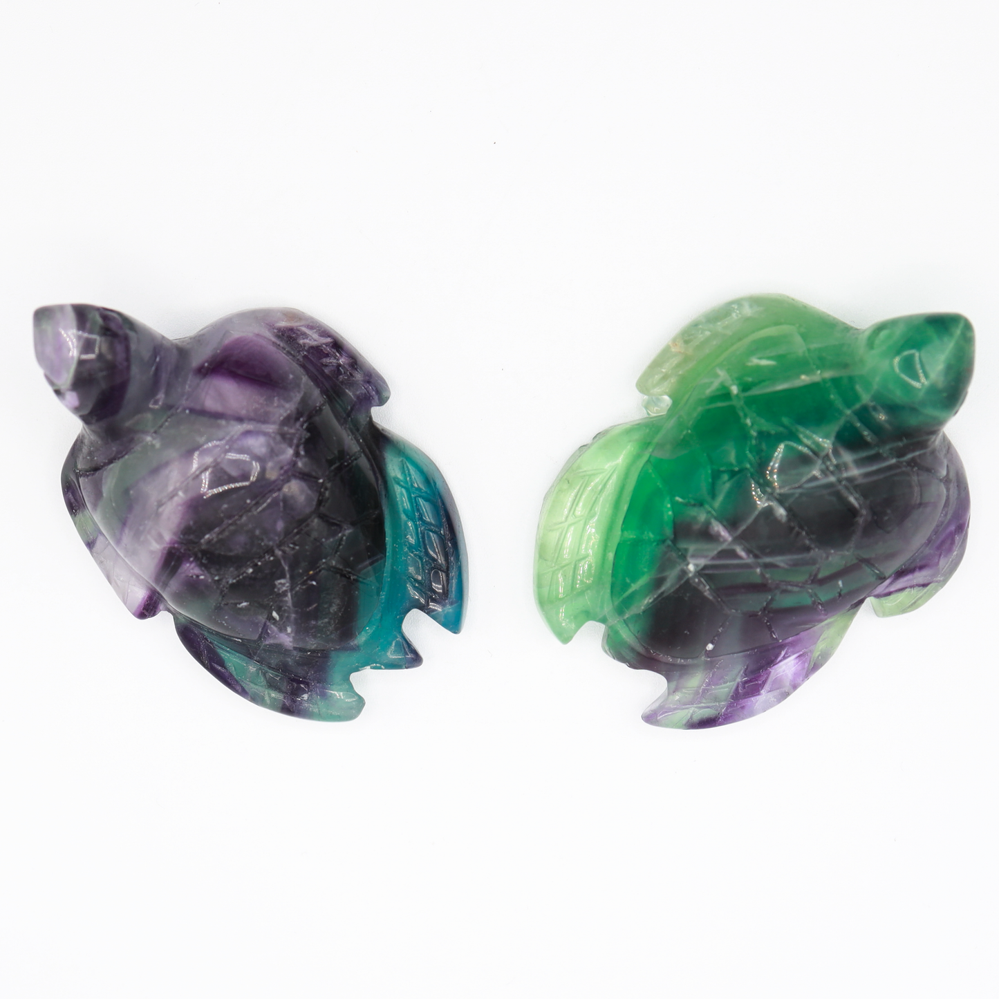Fluorite Turtle