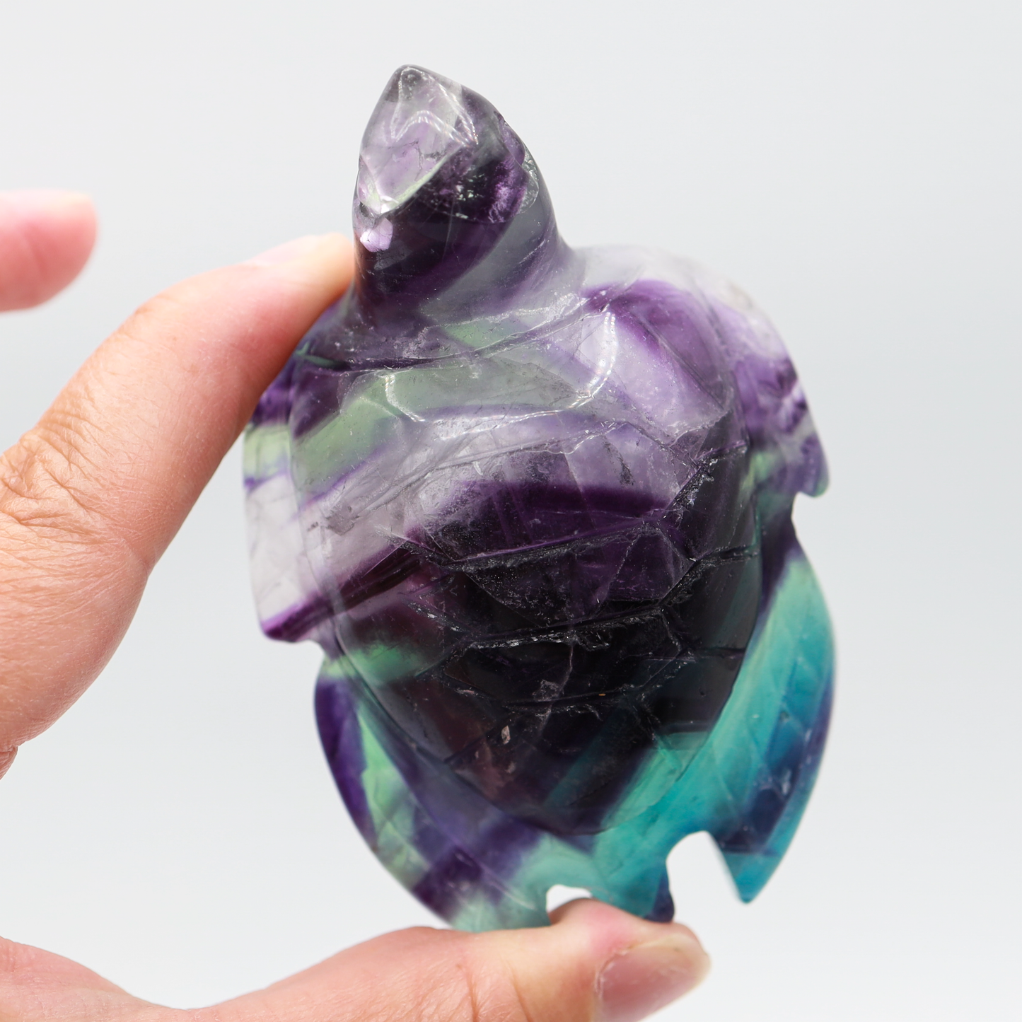 Fluorite Turtle