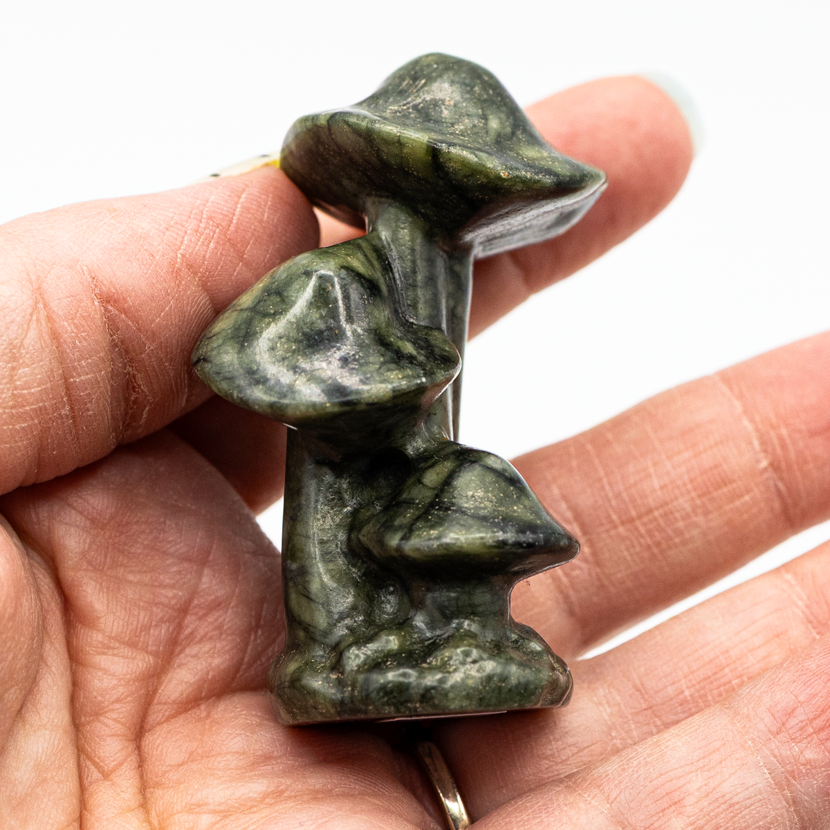 Green Jade Mushrooms