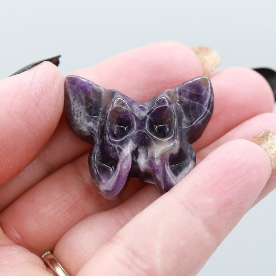 Butterfly Skull Carving