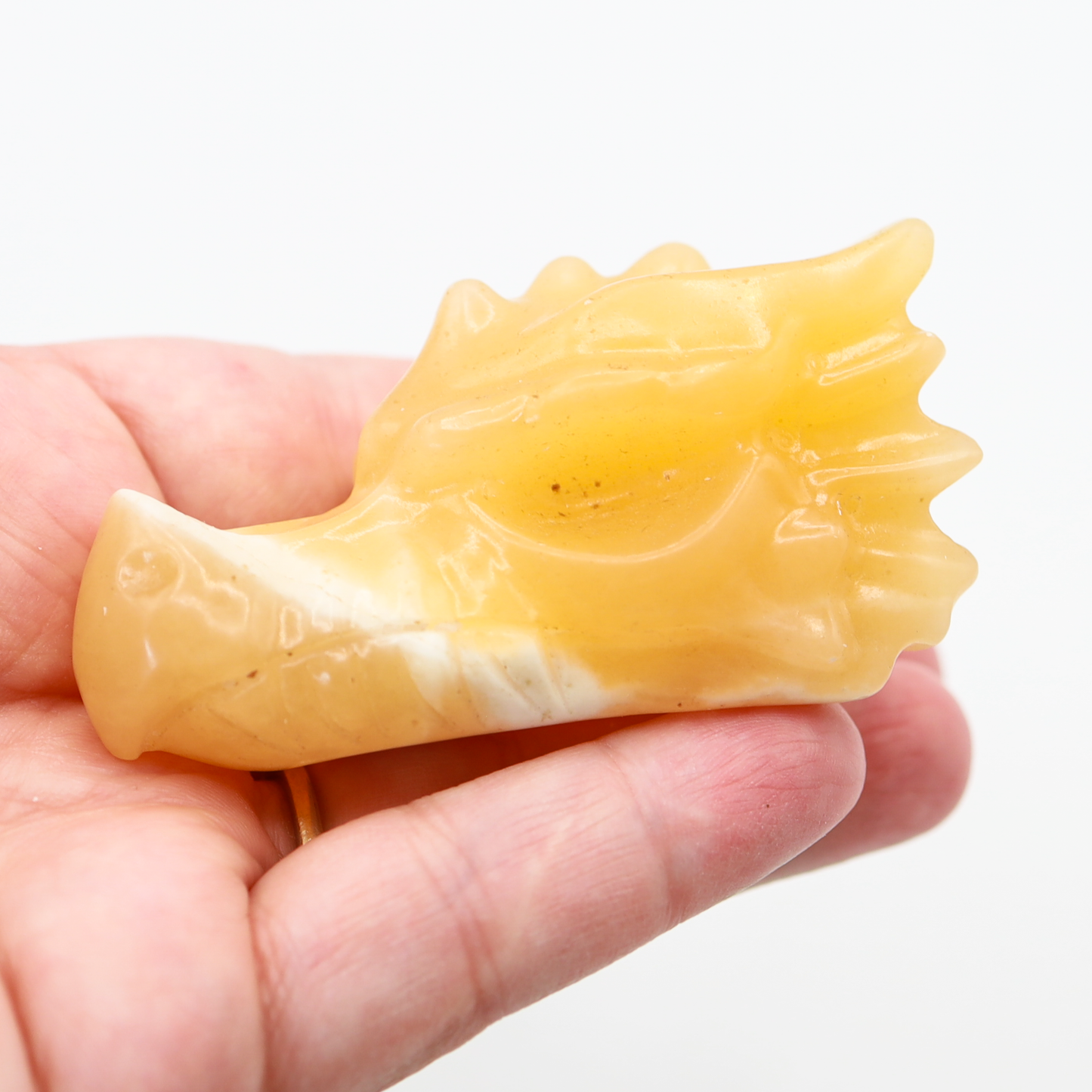 Dragon Head Carving (Medium)