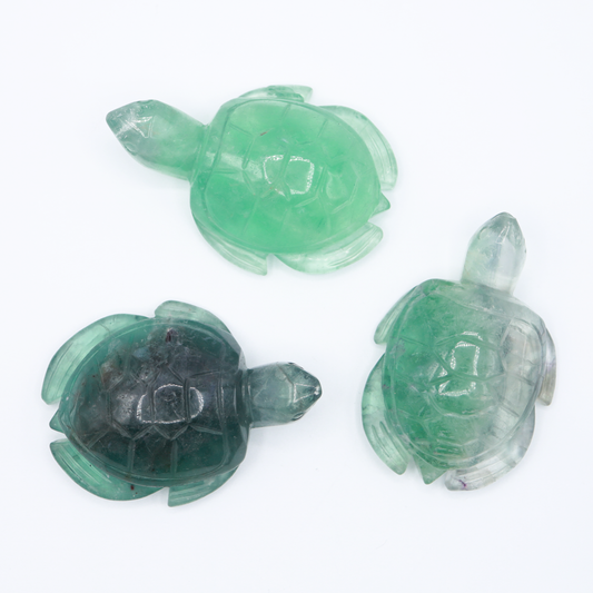 Fluorite Turtle (Large)
