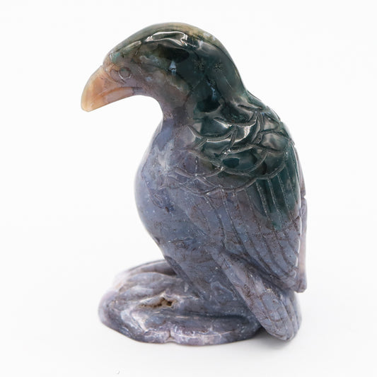 Ocean Jasper Raven