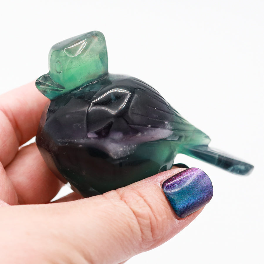 Rainbow Fluorite Bird