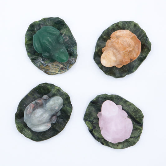 Frogs on Lilly Pads
