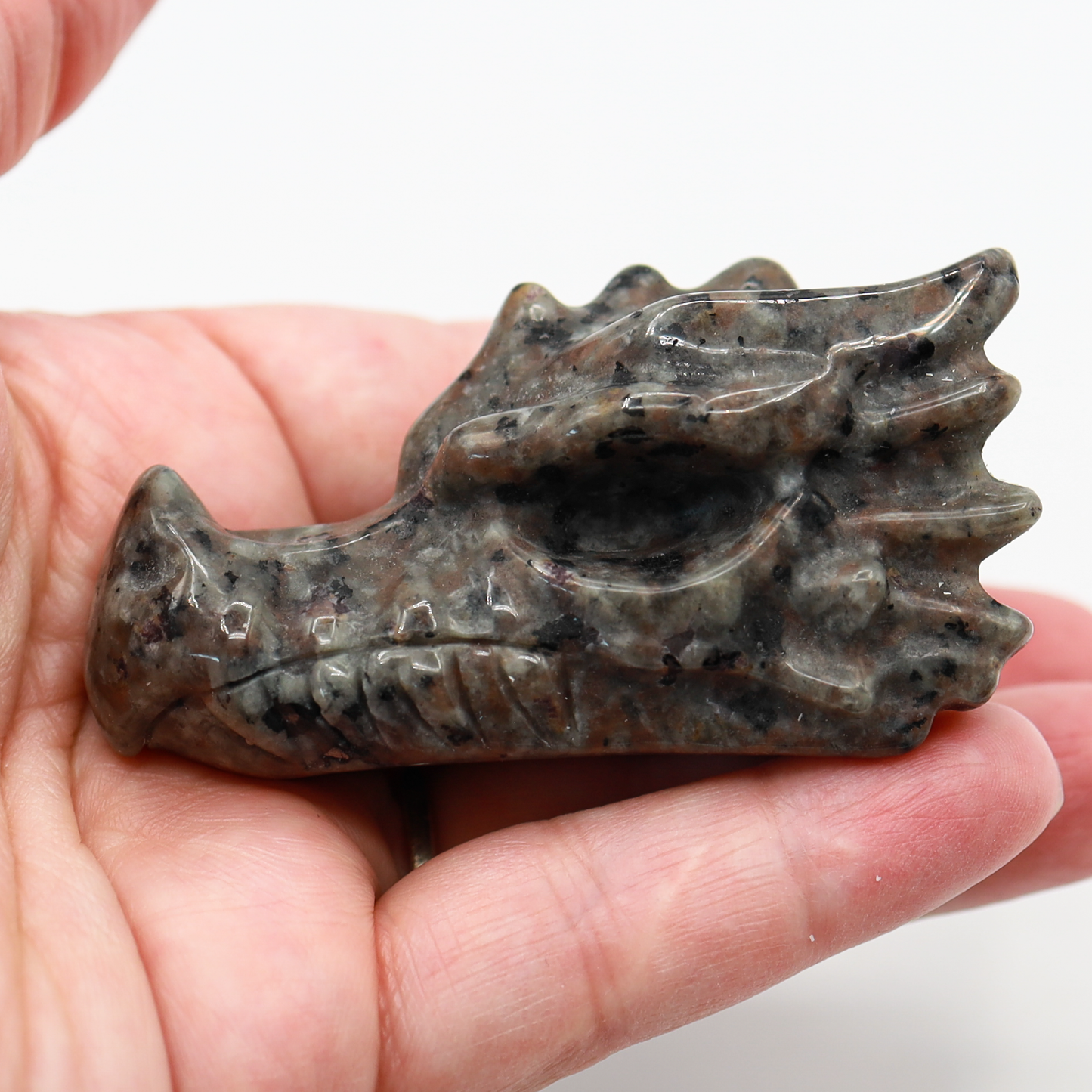 Dragon Head Carving (Medium)