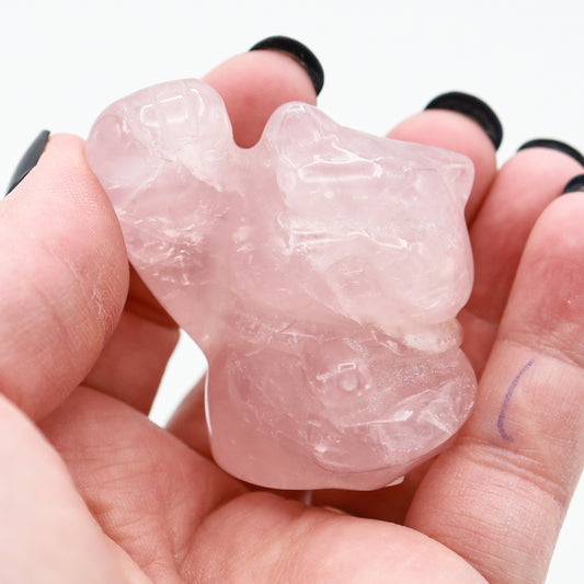 Rose Quartz Cartoon Cat