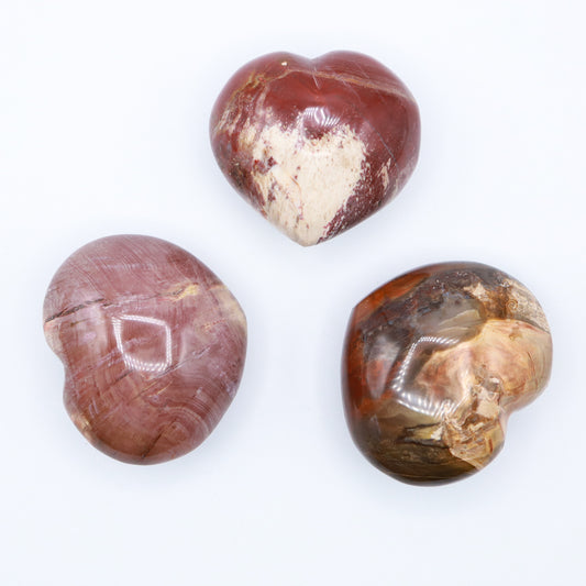Petrified Wood Hearts