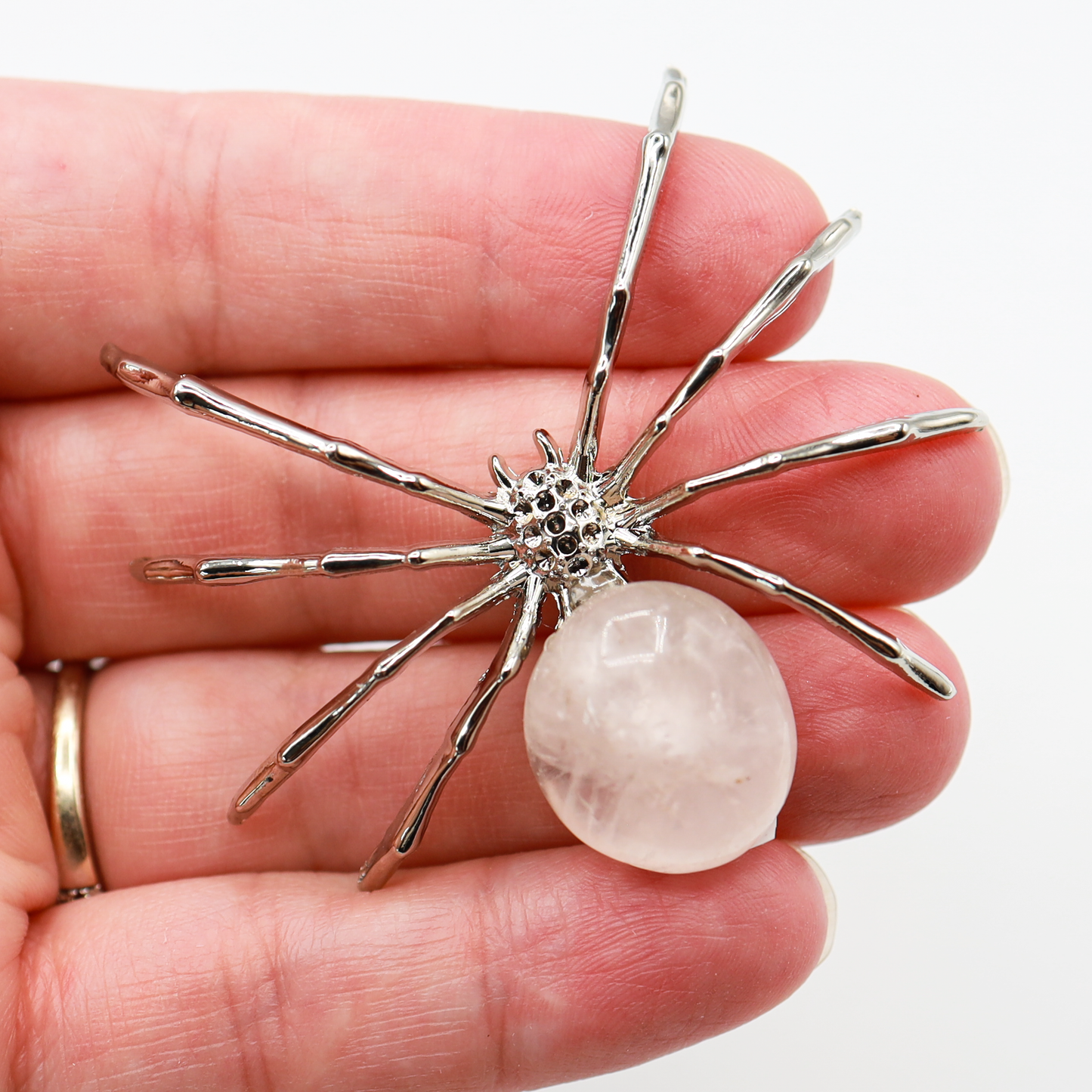 Spider Carving